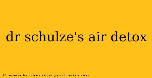 dr schulze's air detox