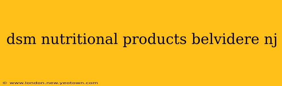 dsm nutritional products belvidere nj