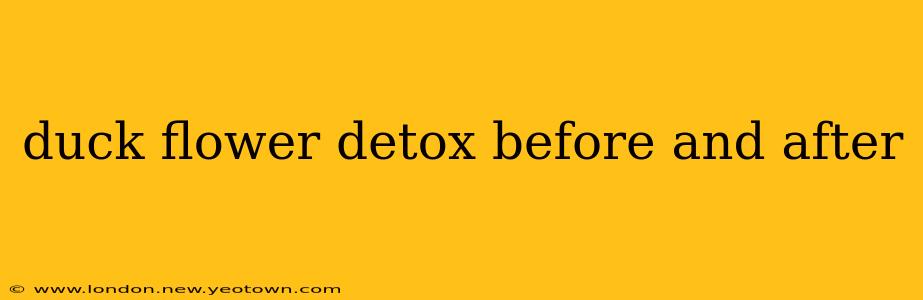 duck flower detox before and after