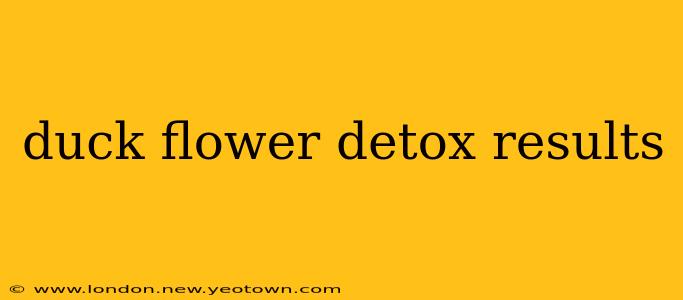 duck flower detox results