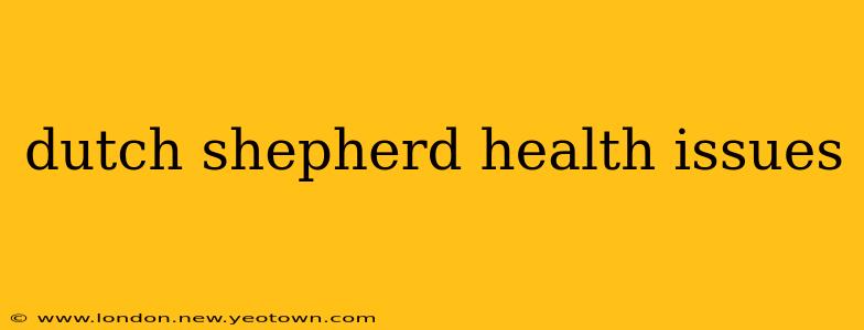 dutch shepherd health issues