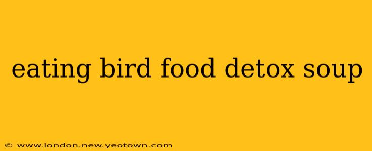 eating bird food detox soup