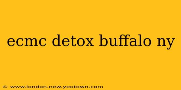 ecmc detox buffalo ny