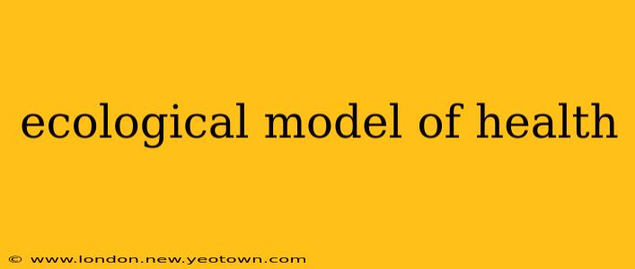 ecological model of health