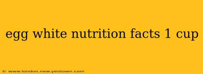 egg white nutrition facts 1 cup