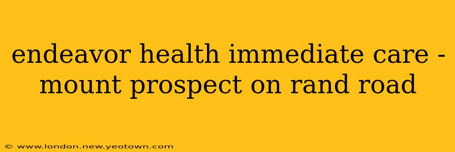 endeavor health immediate care - mount prospect on rand road