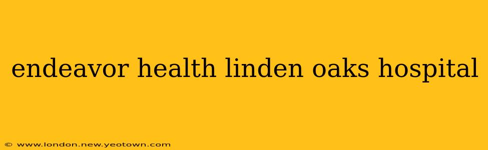 endeavor health linden oaks hospital