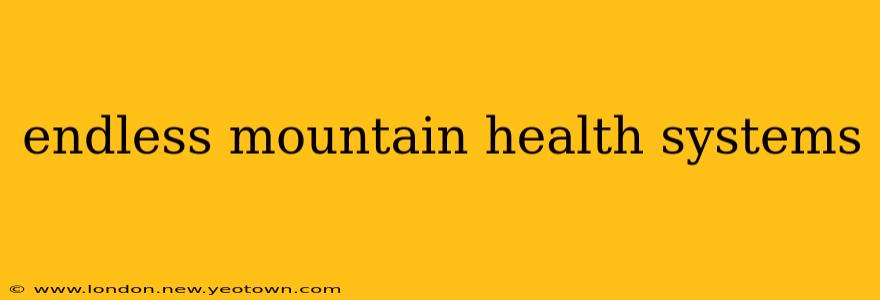 endless mountain health systems