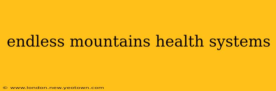 endless mountains health systems