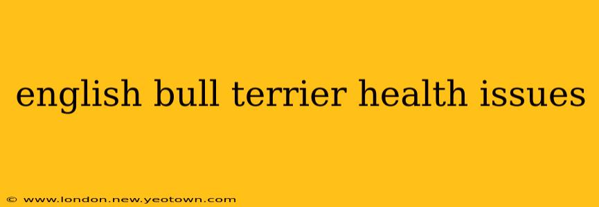 english bull terrier health issues