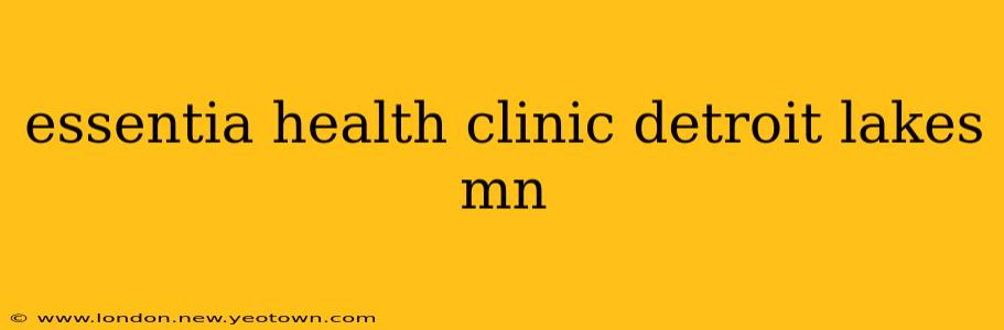 essentia health clinic detroit lakes mn