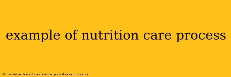 example of nutrition care process