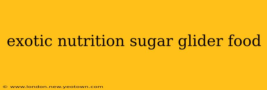 exotic nutrition sugar glider food