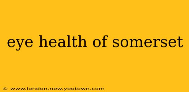 eye health of somerset