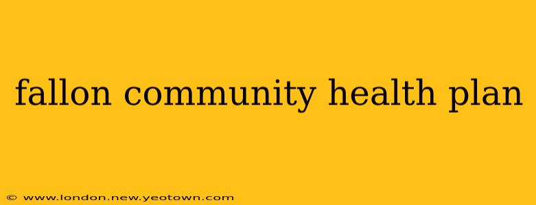 fallon community health plan