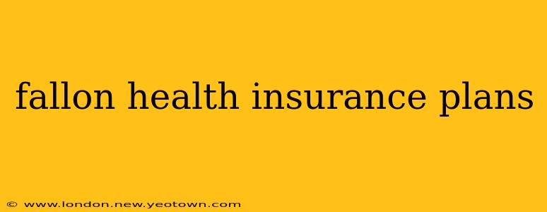 fallon health insurance plans