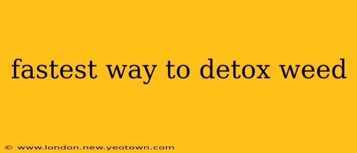 fastest way to detox weed
