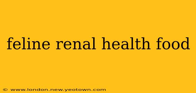 feline renal health food