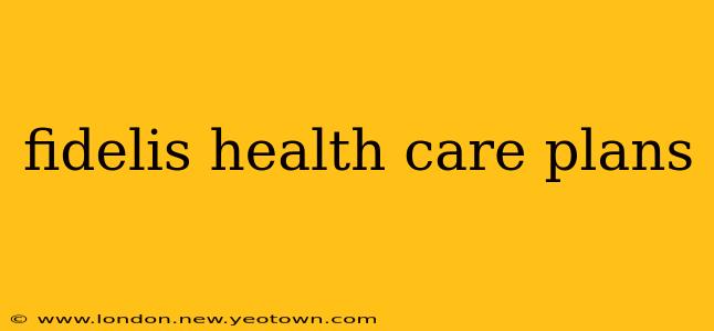 fidelis health care plans