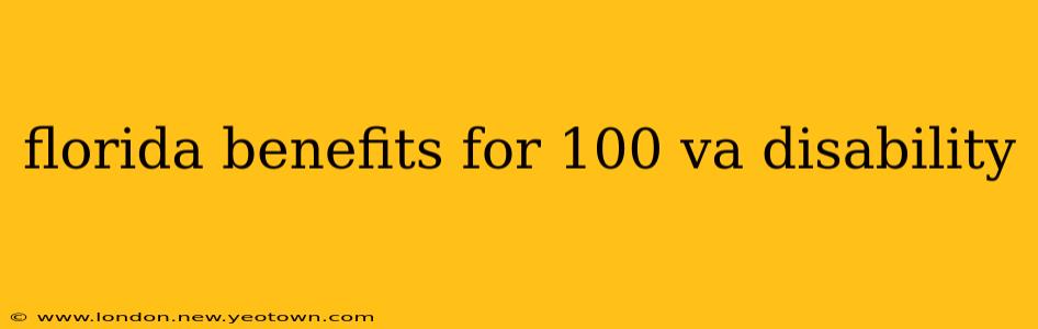 florida benefits for 100 va disability