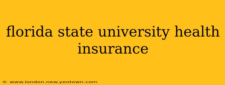 florida state university health insurance