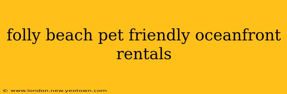 folly beach pet friendly oceanfront rentals