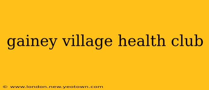 gainey village health club