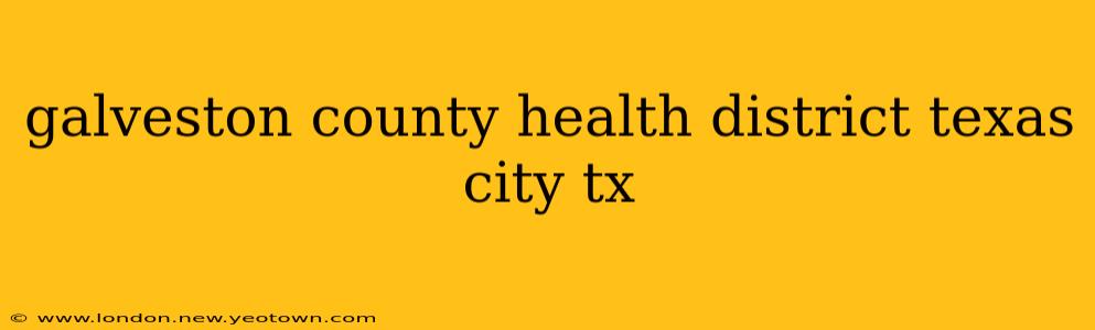 galveston county health district texas city tx