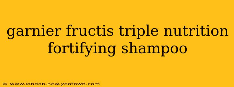 garnier fructis triple nutrition fortifying shampoo