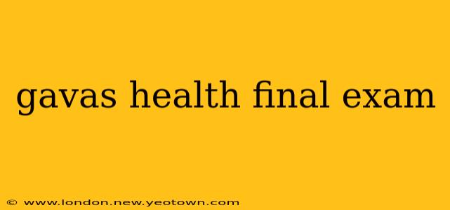 gavas health final exam