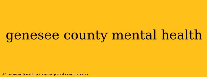 genesee county mental health