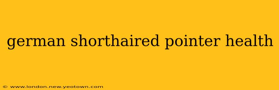 german shorthaired pointer health
