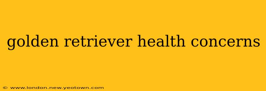 golden retriever health concerns