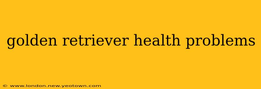 golden retriever health problems