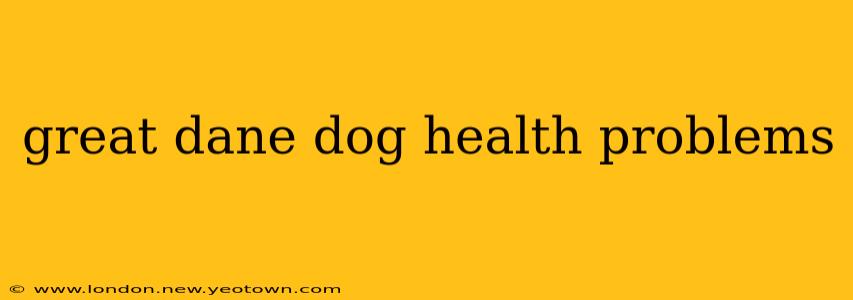 great dane dog health problems