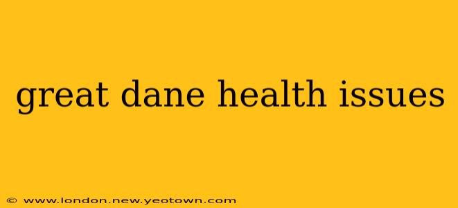 great dane health issues