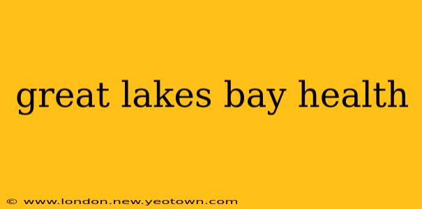 great lakes bay health