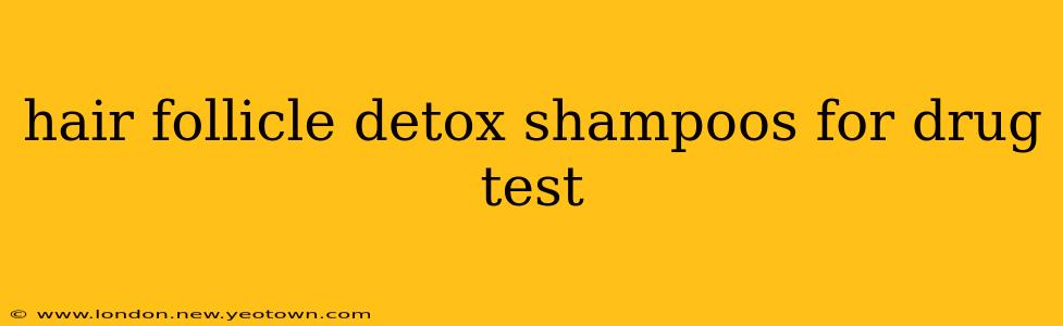 hair follicle detox shampoos for drug test