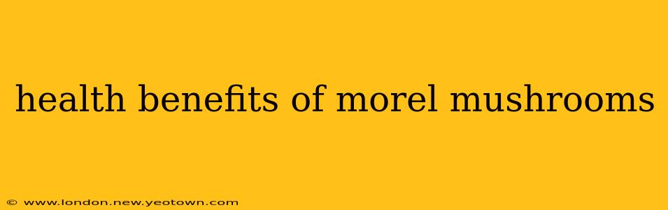 health benefits of morel mushrooms