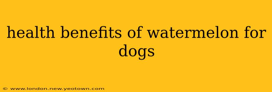 health benefits of watermelon for dogs