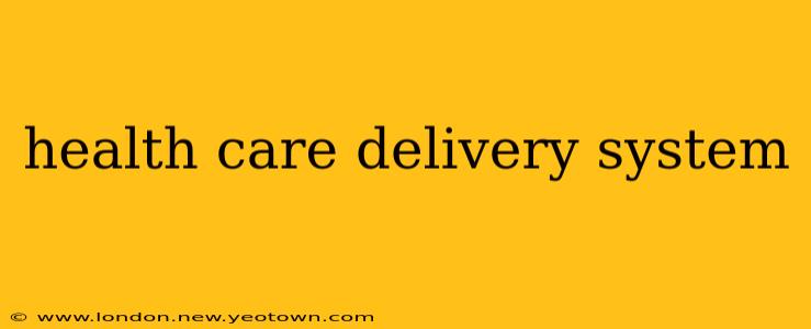 health care delivery system