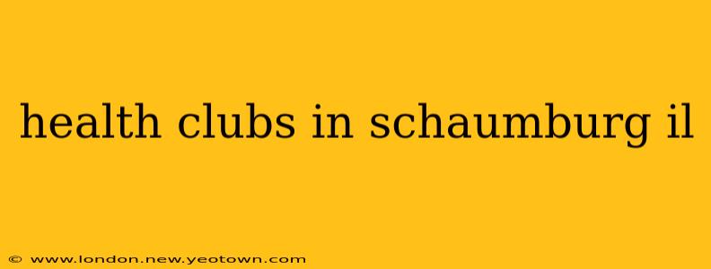 health clubs in schaumburg il
