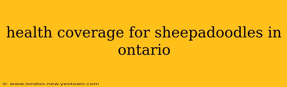 health coverage for sheepadoodles in ontario