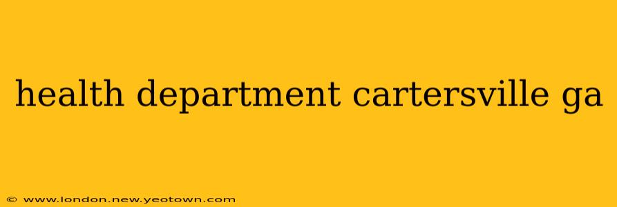 health department cartersville ga