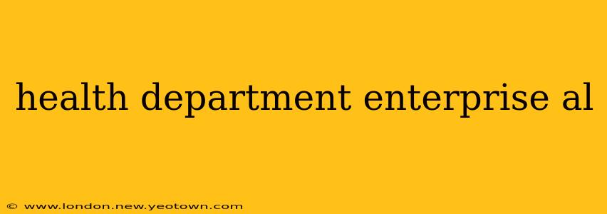 health department enterprise al