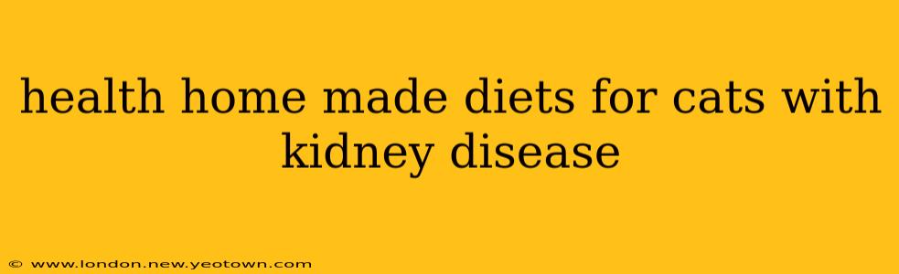 health home made diets for cats with kidney disease