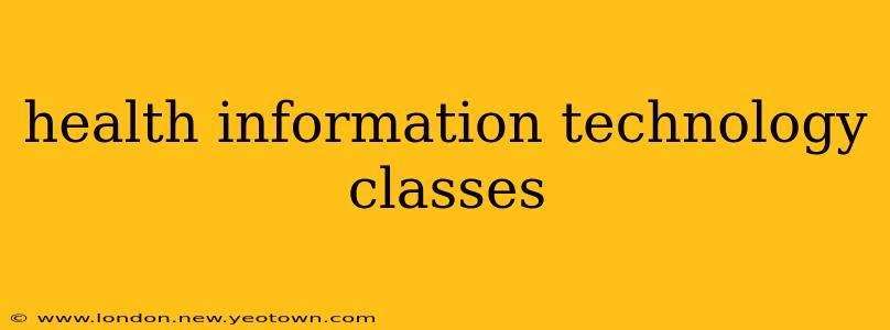 health information technology classes