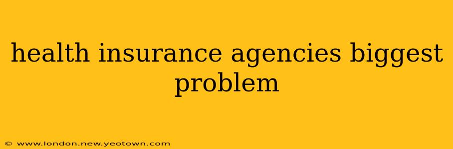 health insurance agencies biggest problem