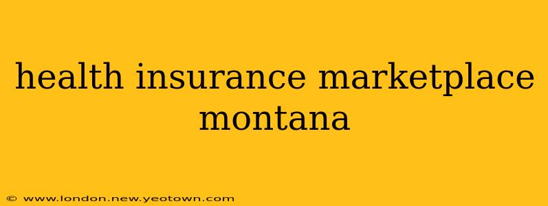 health insurance marketplace montana
