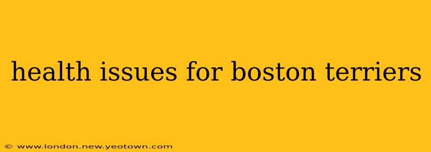 health issues for boston terriers